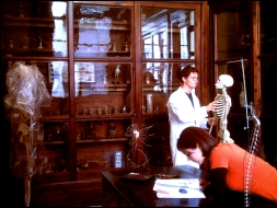 Museo di Scienze